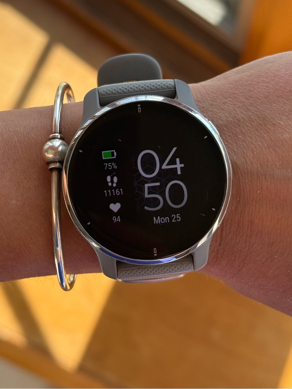 Garmin Venu 2 Plus Smartwatch